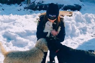 Protejarea animalelor