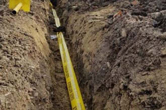 Primarul din Dumbrava