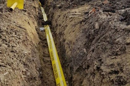 Primarul din Dumbrava