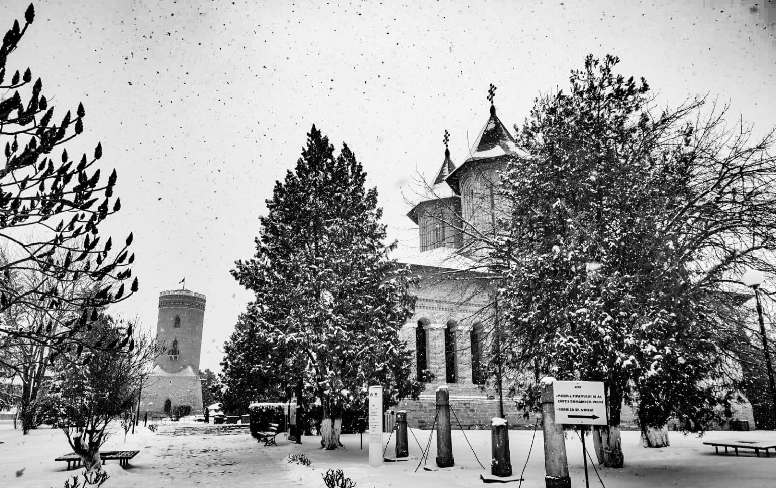 Program special la muzee