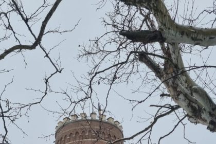 Ziua Culturii Naționale