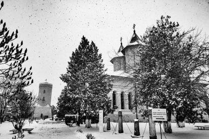 Program special la muzee