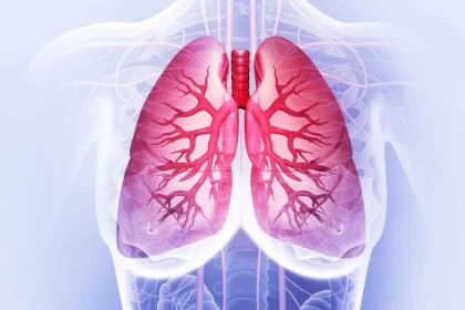 plămâni