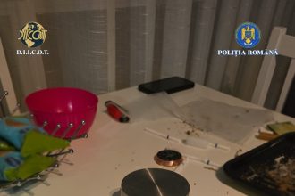 Soldați profesioniști