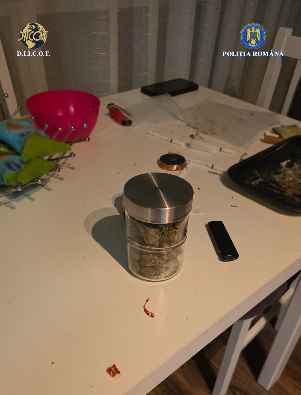 Soldați profesioniști