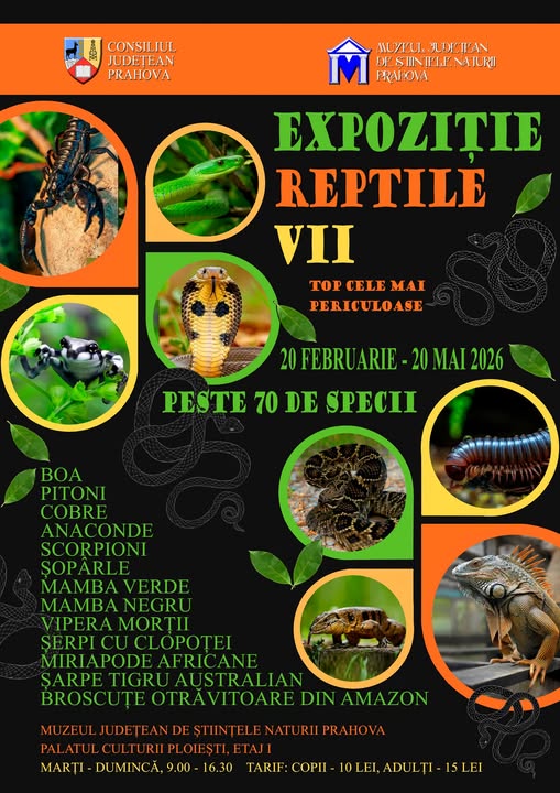 Reptile vii