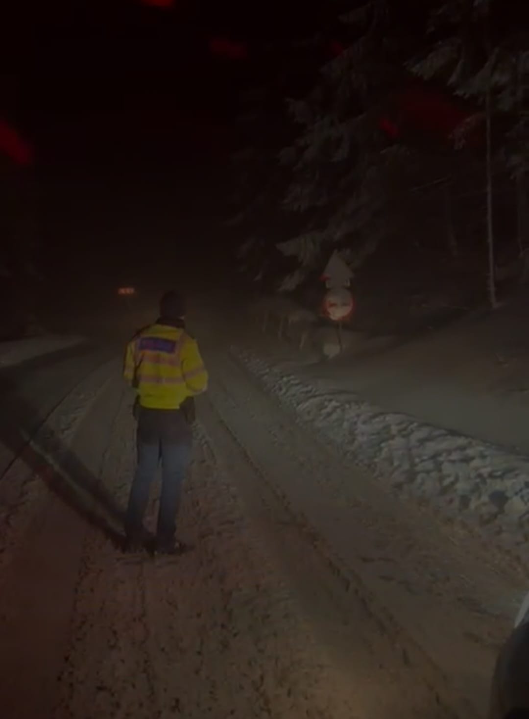 Condițiile de trafic