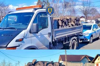 Material lemnos transportat ilegal