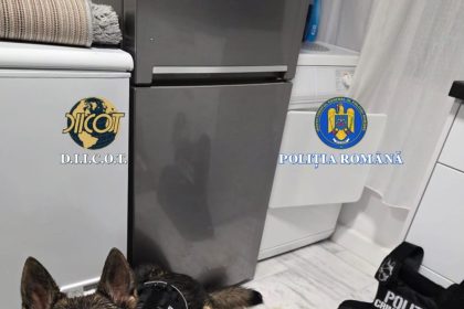 Trafic de droguri de mare risc