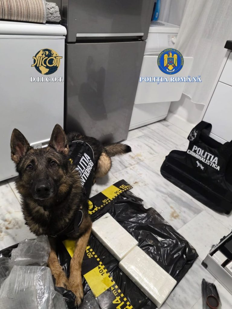 Trafic de droguri de mare risc