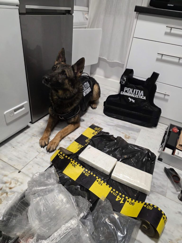 Trafic de droguri de mare risc