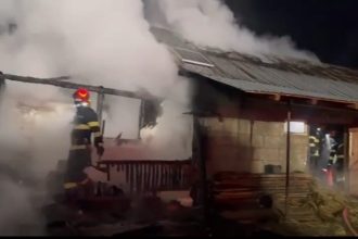 Incendiu la un adăpost de animale