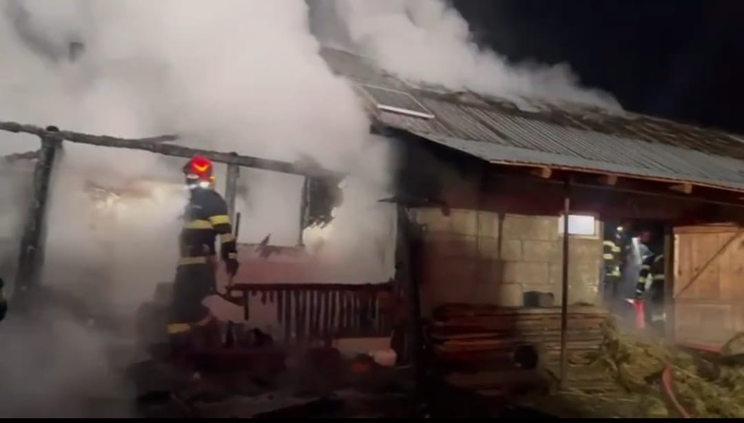 Incendiu la un adăpost de animale