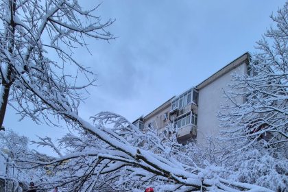 Activitatea de examinare