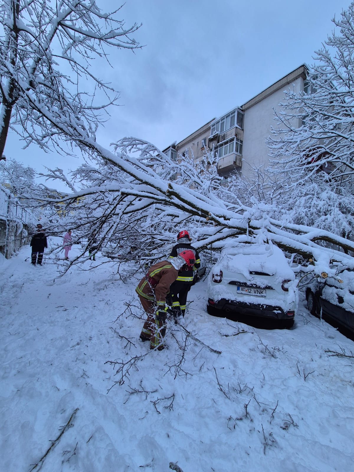 Activitatea de examinare