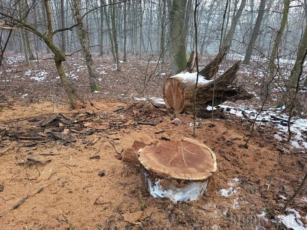 Patru bărbați reținuți