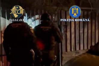 Fraude de peste 1,6 milioane lei