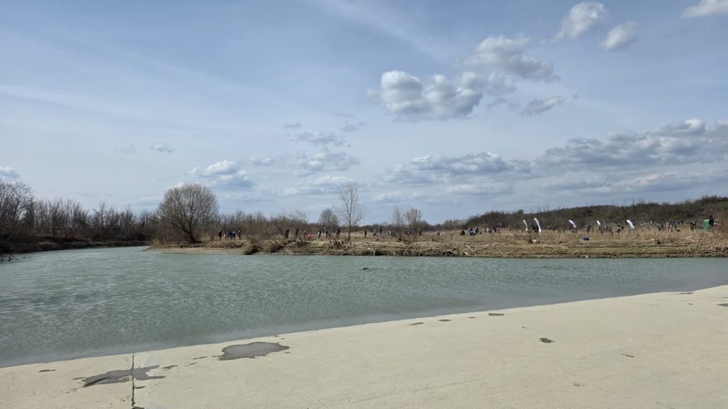 Ziua Internațională a Pădurii