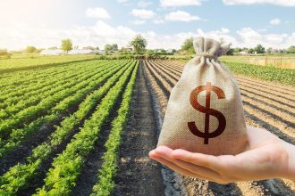 Lucrările de cadastrare