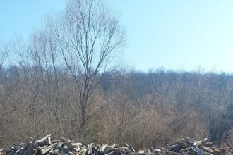 Garda Forestieră Oradea