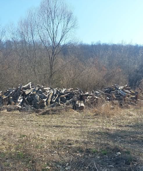 Garda Forestieră Oradea