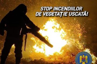 Incendiile de vegetație