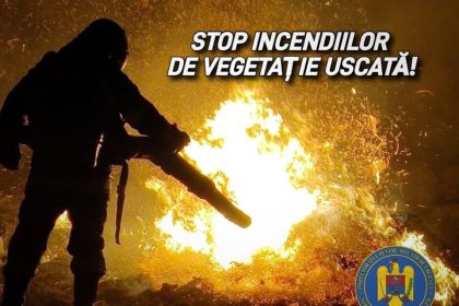 Incendiile de vegetație
