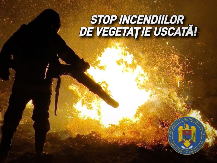 Incendiile de vegetație
