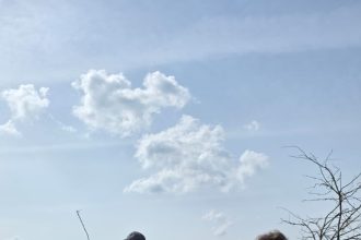 Ziua Internațională a Pădurii