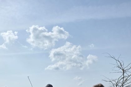 Ziua Internațională a Pădurii