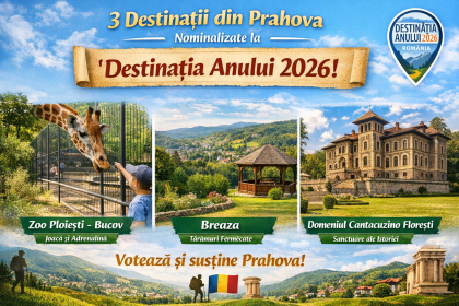 3 destinații