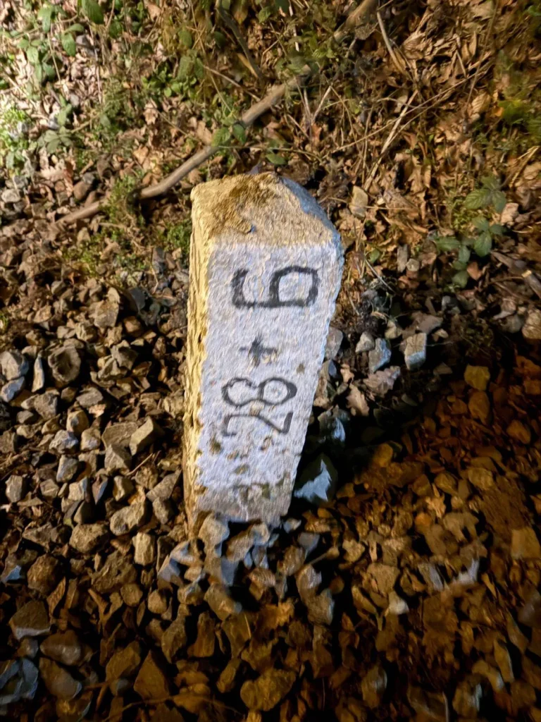 Locomotivă deraiată