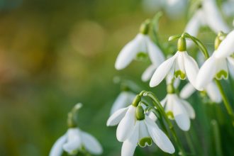 Vremea se încălzește