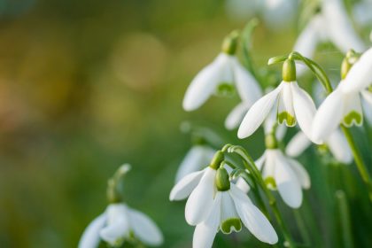 Vremea se încălzește