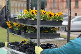 Cum a fost adusă primăvara
