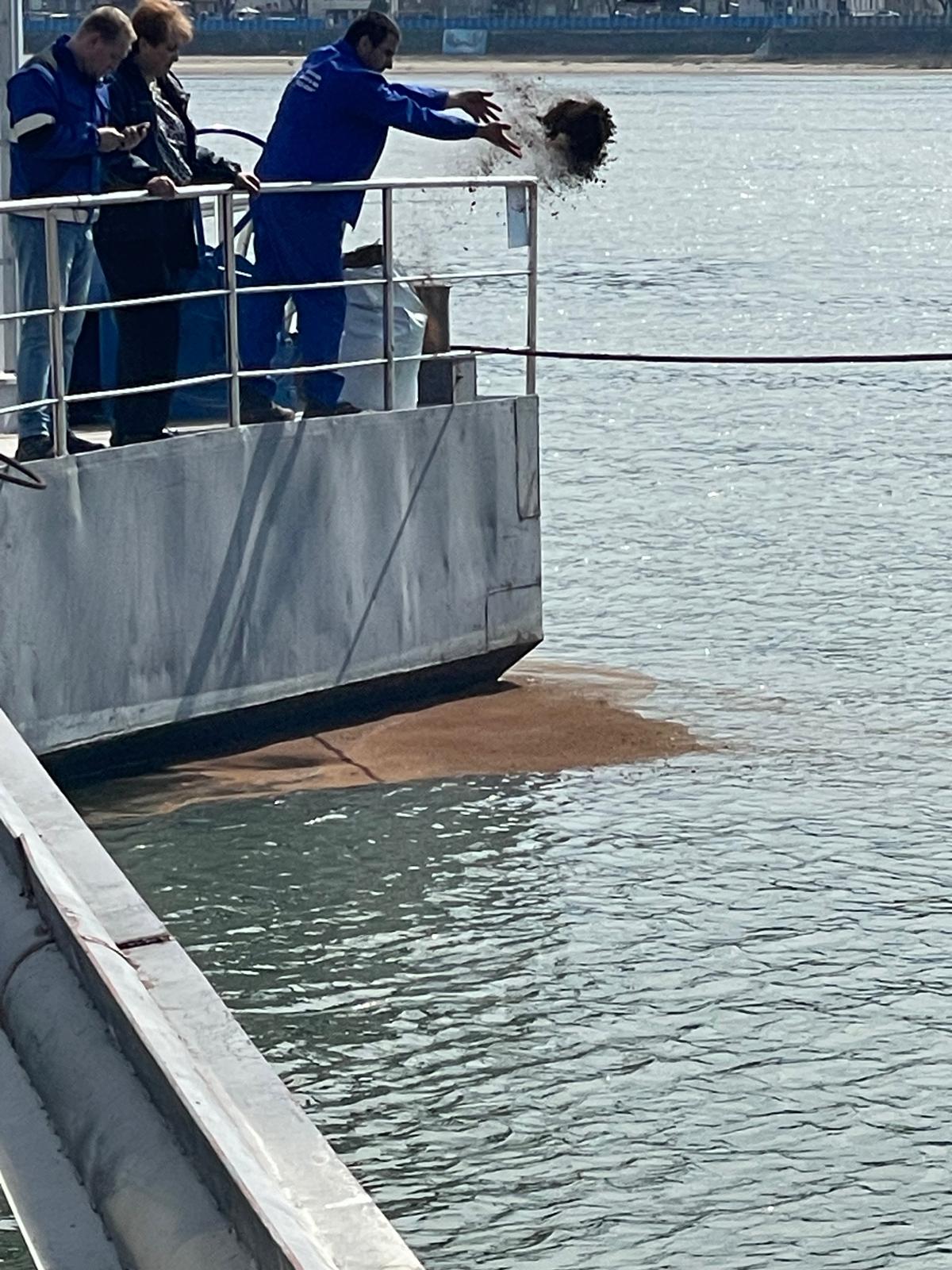 Poluare accidentală