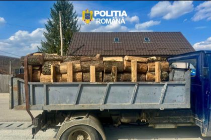 Transport ilegal de lemn