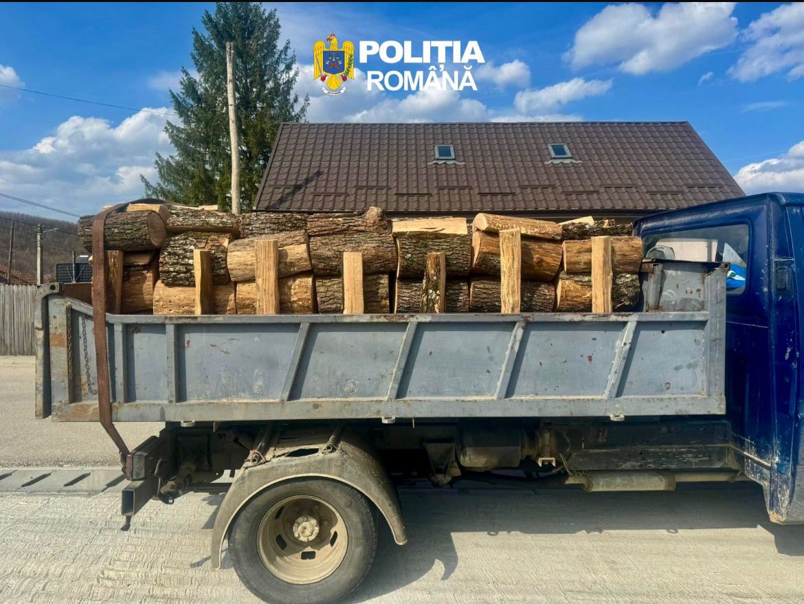 Transport ilegal de lemn