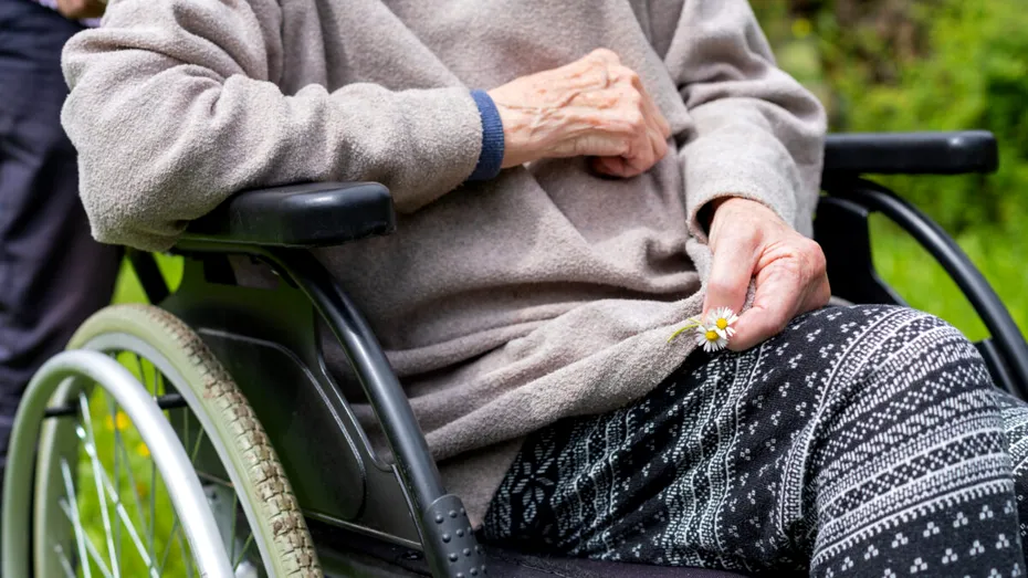 ercheziții într-un dosar de fals