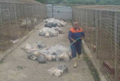 Percheziții la DSVSA Prahova