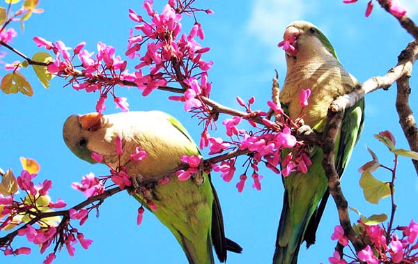 Primăvară cu vreme