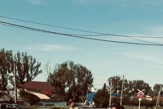 Acțiuni preventive la trecerile la nivel cu calea ferată
