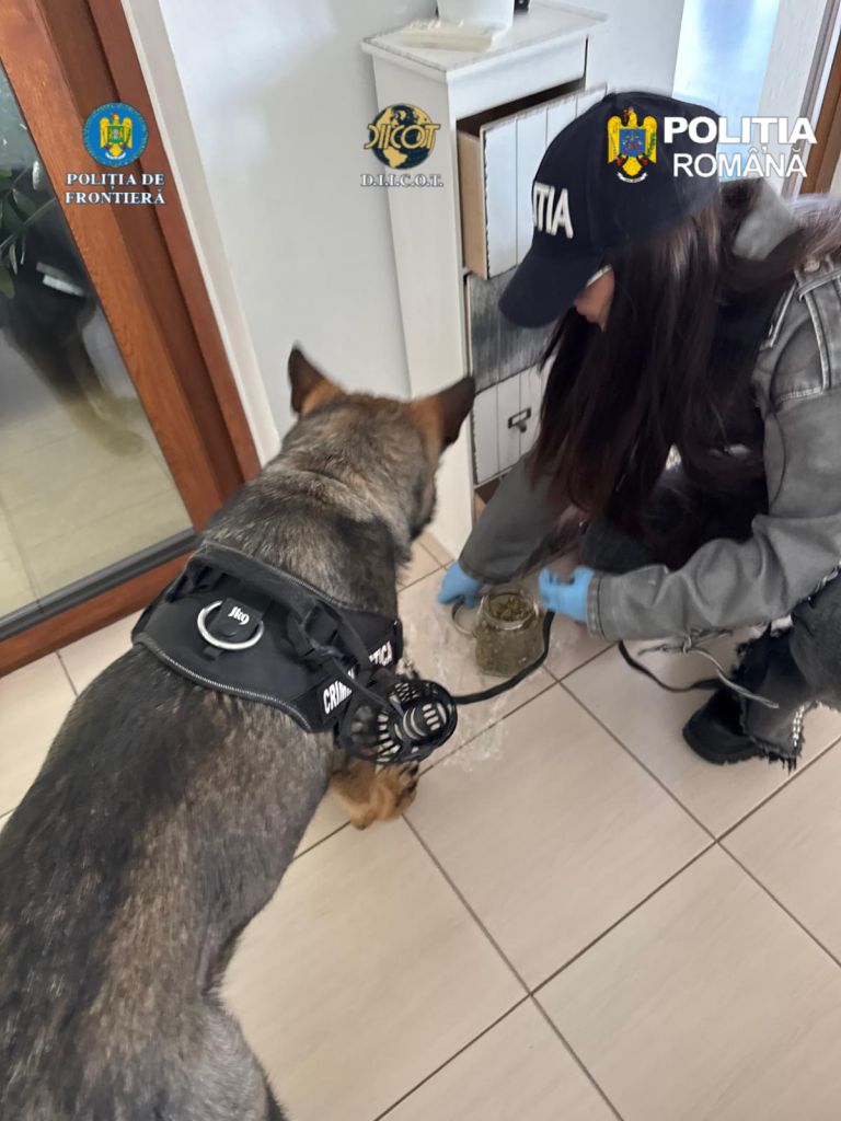 Rețea de trafic de droguri destructurată.