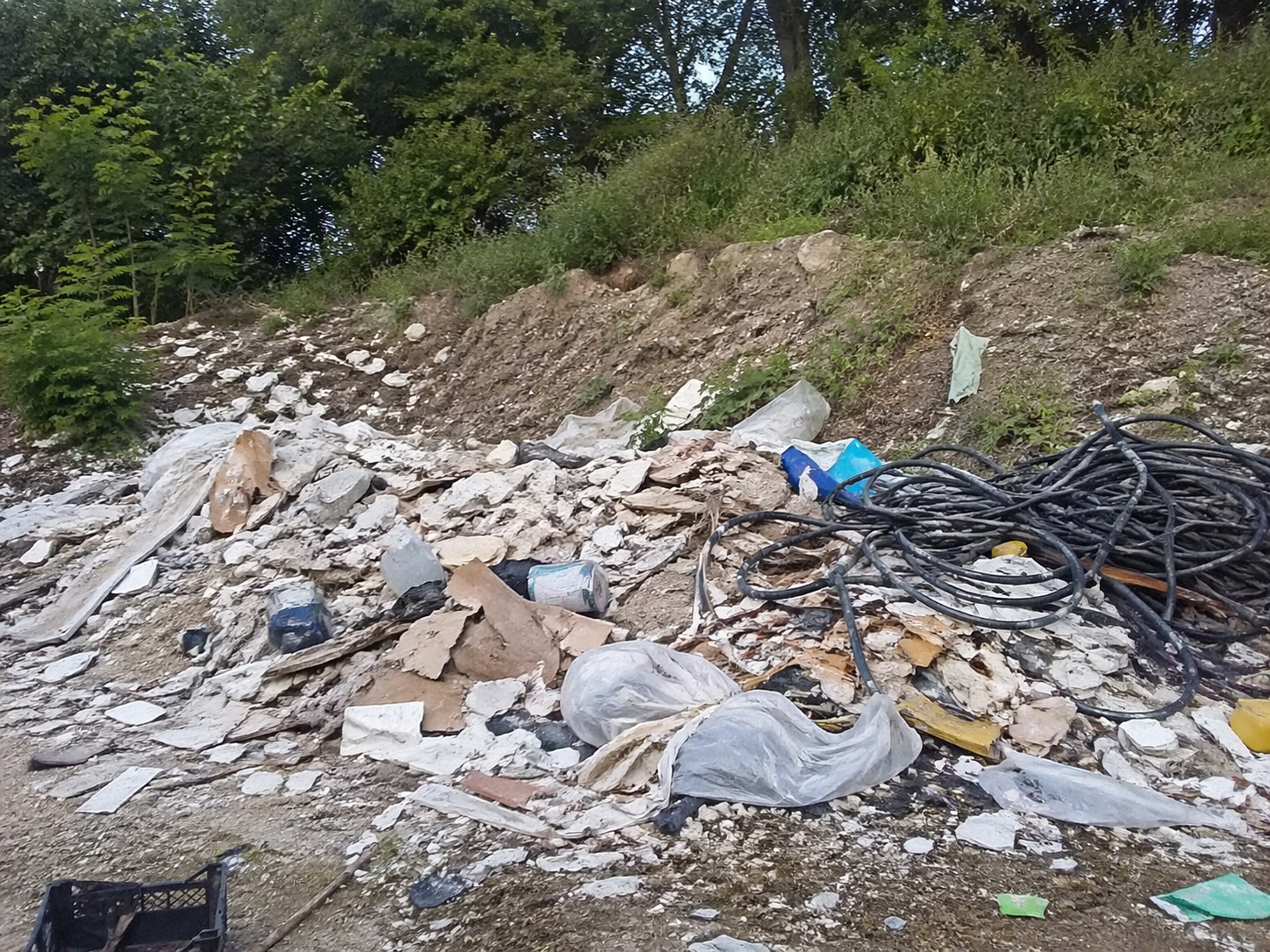 Amendă de 50.000 de lei