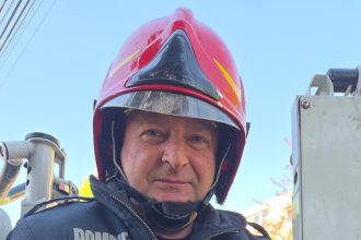 Operațiune „Papagalul din brad”