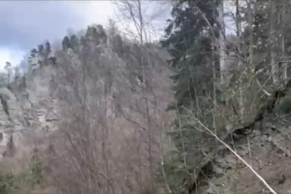 Doi turiști din București