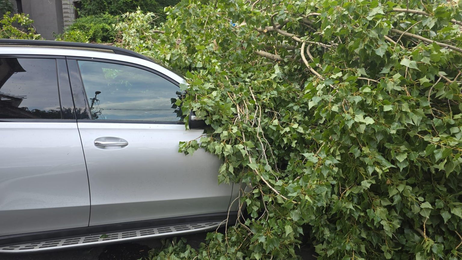 Vânt puternic în Prahova