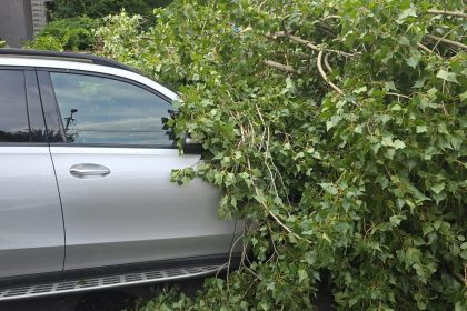 Vânt puternic în Prahova