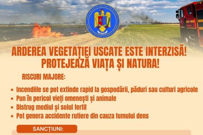 Arderea vegetației