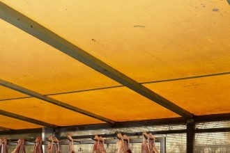 Amenzi de peste 6,3 milioane de lei